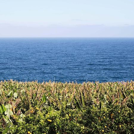 El Convento II Tranquilidad Y Vistas Unicas Apartment San Andres  Exterior photo