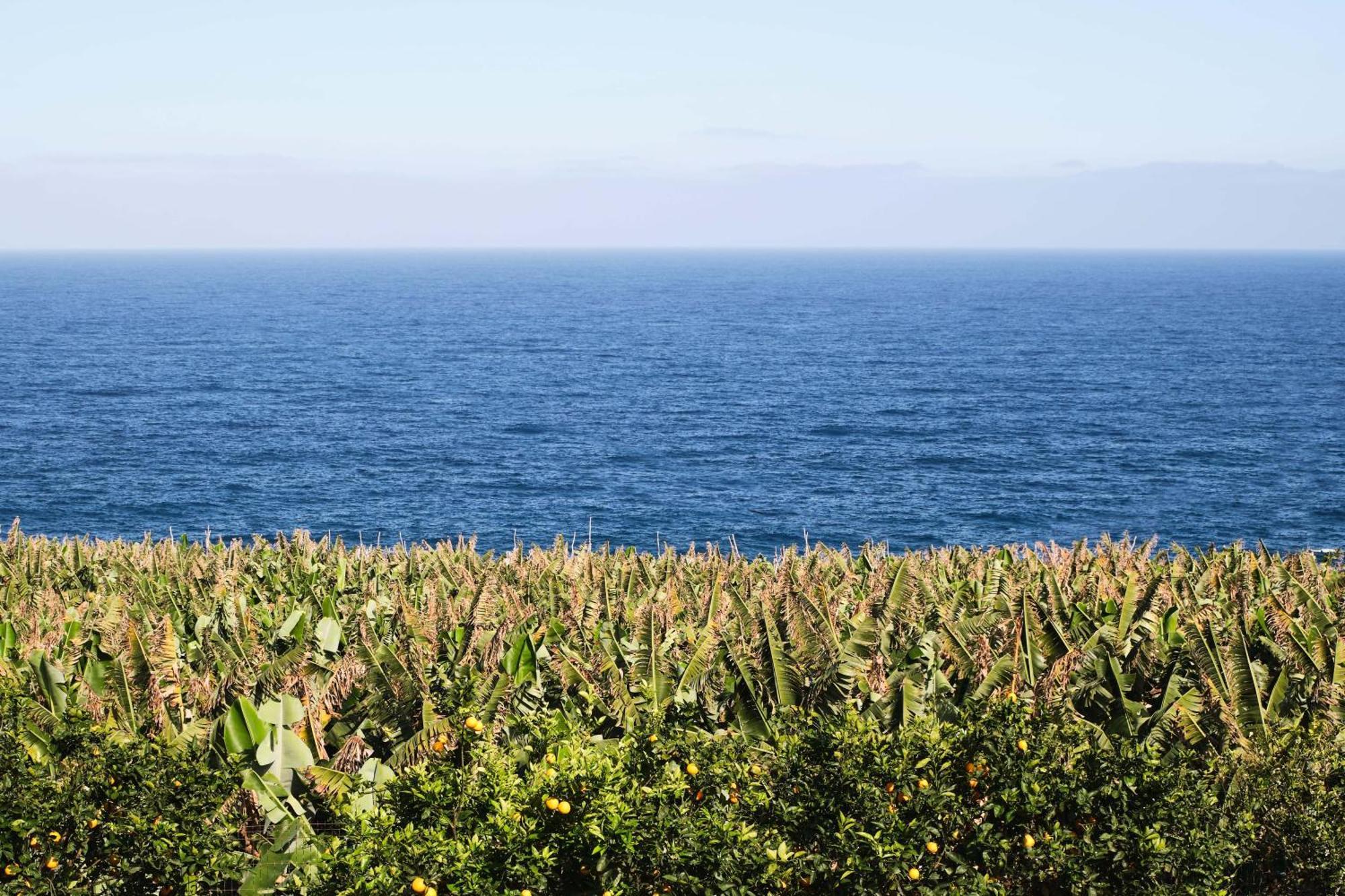 El Convento II Tranquilidad Y Vistas Unicas Apartment San Andres  Exterior photo